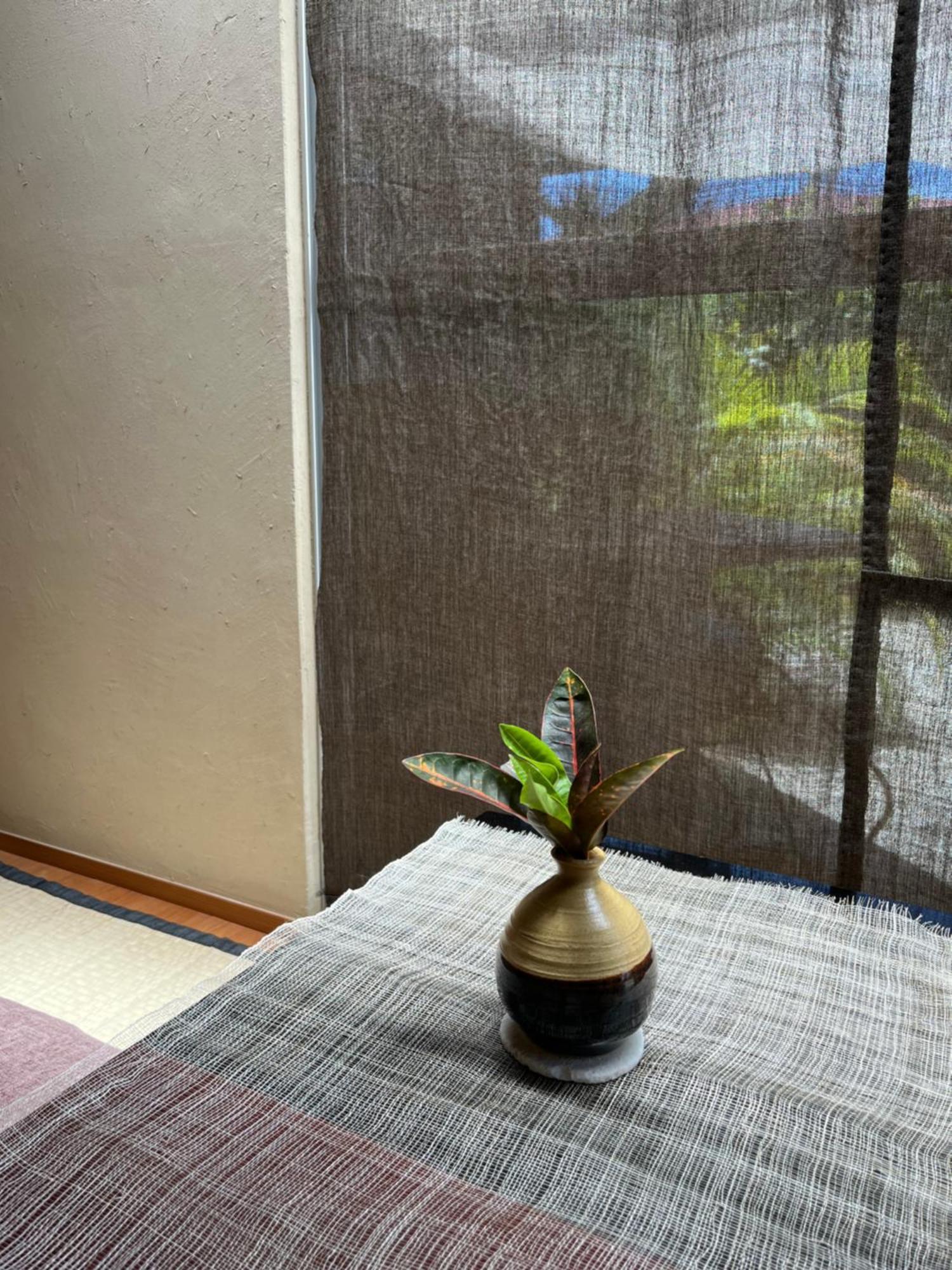 檸檬草ー奄美の自然の香る宿ー Amami Eksteriør billede